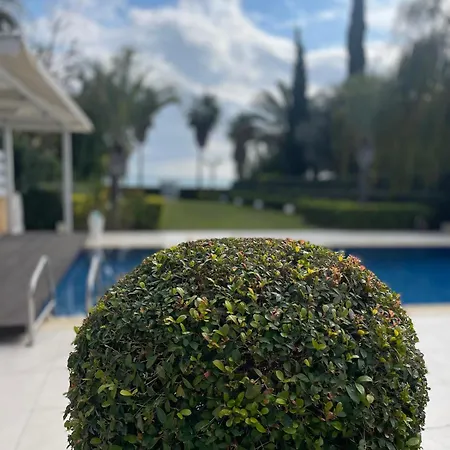 Serenity Mediterranean Vila